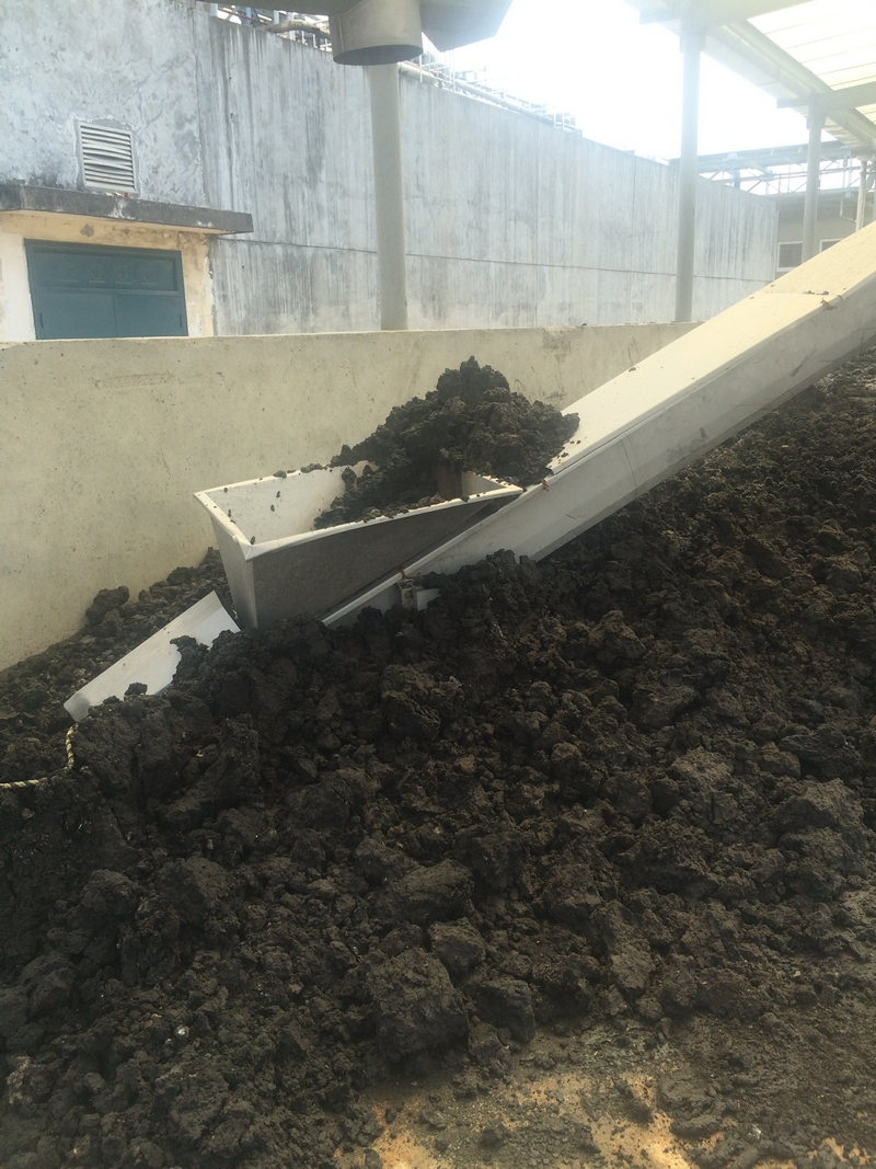 Printing and dyeing sludge before and after drying